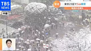 東京２３区で５センチ積雪　今後の予報は