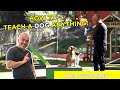 How to teach a dog anything with cesar millan