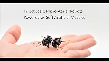 Insect-scale aerial robots driven by soft artificial muscles - Prof. Dr. Kevin Chen (MIT)