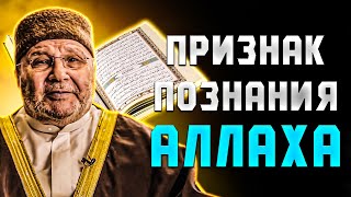 ПРИЗНАК ПОЗНАНИЯ АЛЛАХА | Будь хорошего мнения об Аллахе-Шейх Мухаммад ан-Наблюси