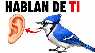 Los Pájaros de Tu Patio Tienen un Lenguaje Secreto Sobre Ti (La Ciencia Lo Acaba de Confirmar)