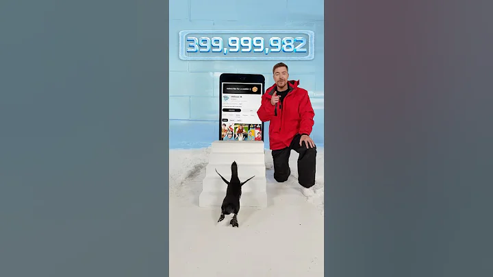 Can I Teach a Penguin To subscribe? #mrbeast