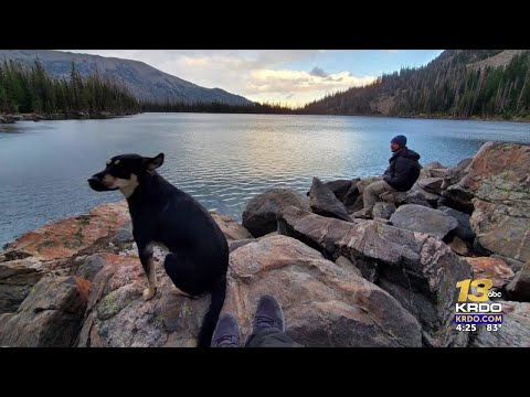 Dog reunited with family after being lost in Grand County mountains for days