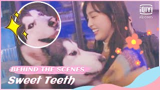 Bts New Friends Wu Xuanyi Met On The Set Sweet Teeth Iqiyi Romance