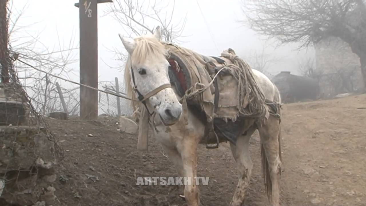 ՄԵՐ ՇԵՆԸ ՛՛ՄՈԽՐԵՆԵՍ՛՛,ՀԱԴՐՈՒԹԻ ՇՐՋԱՆ 18.03.2016