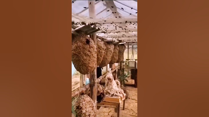 [농업기술] 과일 낙과로 키우는 재래식 양봉 🍯🐝