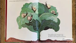 Das größte Schneckenhaus der Welt