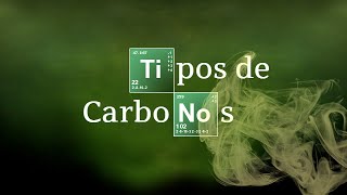 ALCANOS | Tipos de Carbonos (Primario, secundario, etc.) | Tema 1