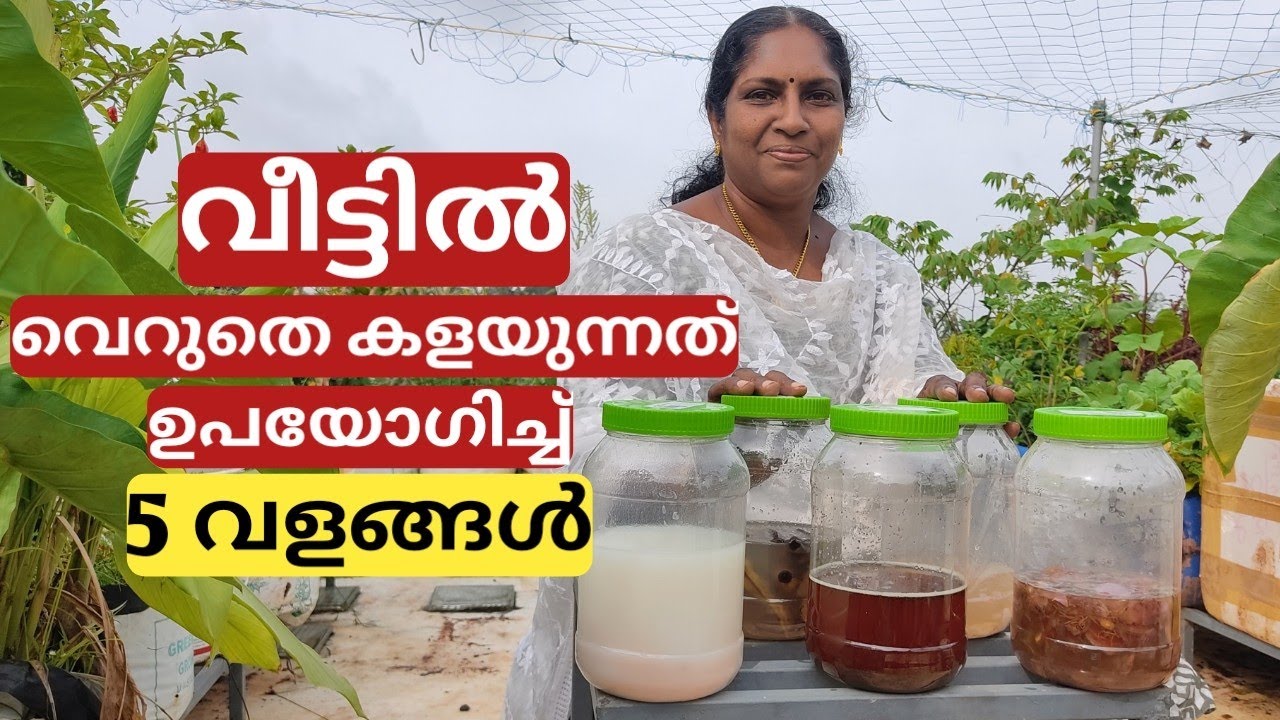 വീട്ടിൽ വെറുതെ കളയുന്നവ ഉപയോഗിച്ചുണ്ടാക്കുന്ന 5 ഒഴിക്കുന്ന വളങ്ങൾ | 5 home made liquid fertilizers |