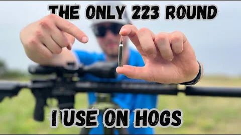 This Is the BEST 223/556 Round For THERMAL HUNTING HOGS! Insane Thermal Footage! DoubleTap 223 SC-HP