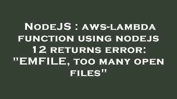 NodeJS : aws-lambda function using nodejs 12 returns error: "EMFILE, too many open files"