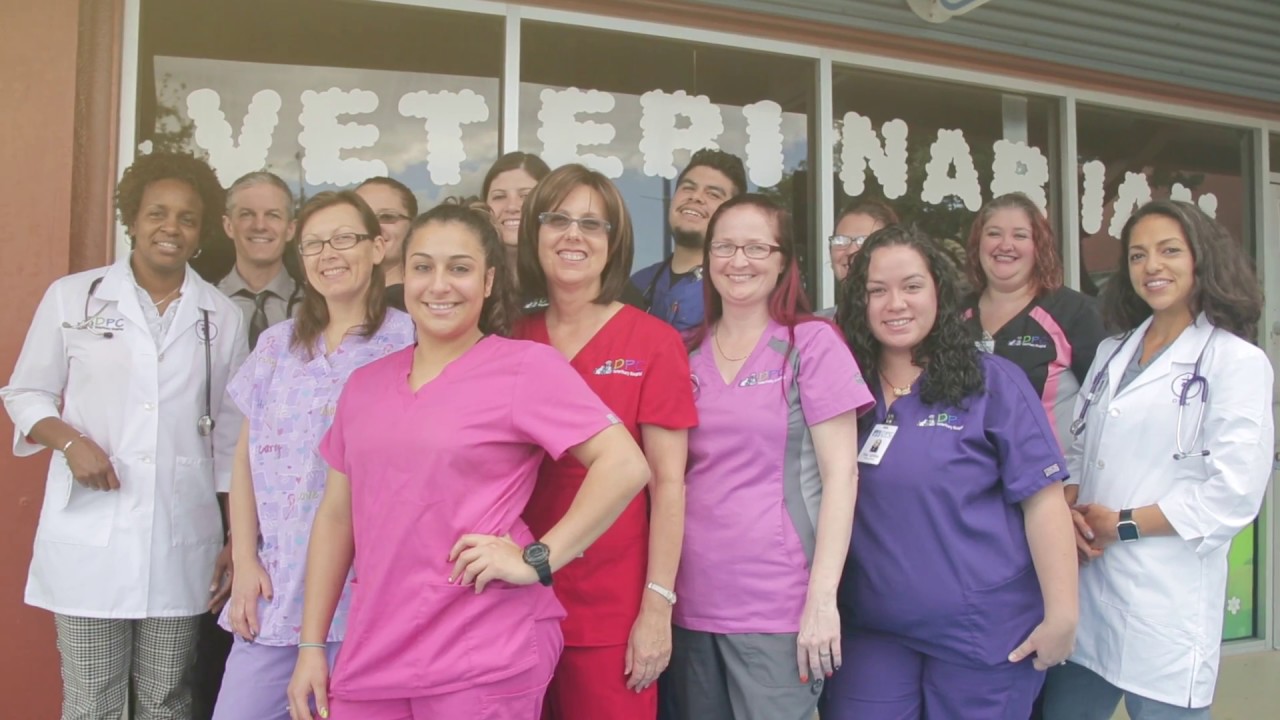 DPC Hollywood & Davie FL Veterinary Hospital YouTube