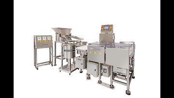 6 Track Checkweigher Machine | Technofour Electronics | Automation