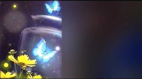 تلاوة خاشعه بصوت حمزه بوديب،، 2022،حالات واتس اب دينيه