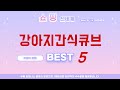 지금 안 사면 후회! 강아지간식큐브 강력 추천 TOP5