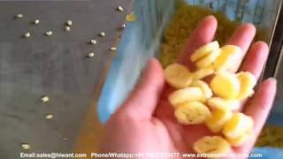 extrusion Bread pan shaper Bread pan machine Extruded bread pan crouton chips snacks food