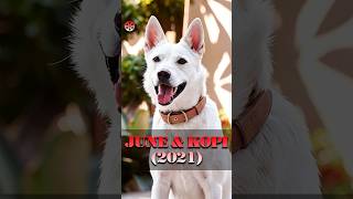The stray dog earned its owner's trust through its actions.#shorts  #movie