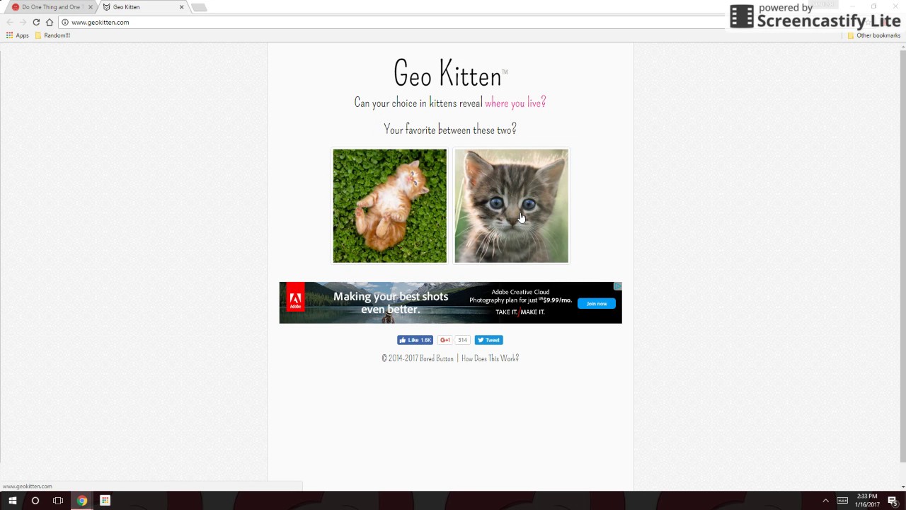 Random Geo Kitten - YouTube