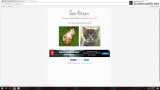 Match Highlights Random Geo Kitten