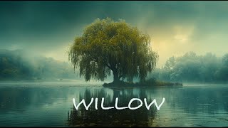 Willow + Ethereal Melancholic Meditative Neoclassical Ambient Music