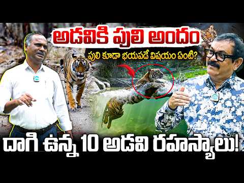 కానీ పులి కూడా భయపడే విషయం ఏంటి? 10 Secrets of Kawal Tiger Reserve | FDO M. Ram Mohan Exclusive