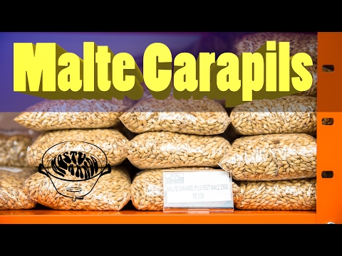 Malte Carapils -