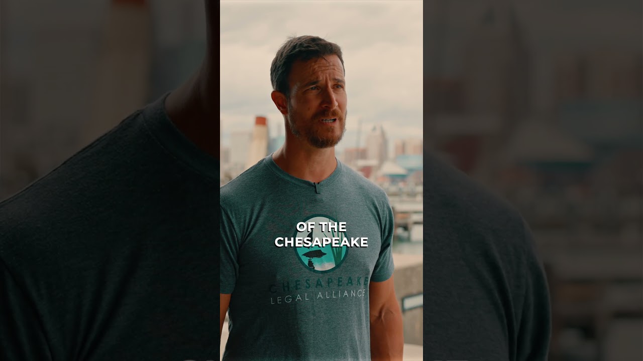 How Legal Action Protects the Chesapeake Bay