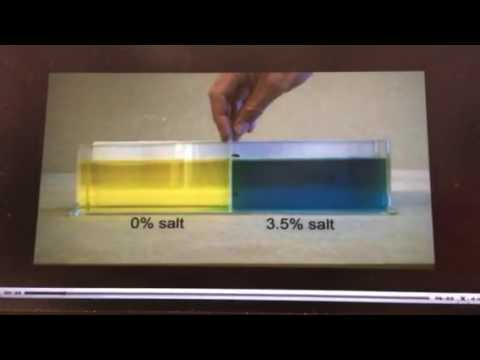 Salinity demo 1