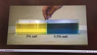 Salinity demo 1 Guide