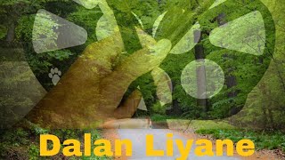 Dalan Liyane - Roll Up drum cover (Resta Aulia Rizky)