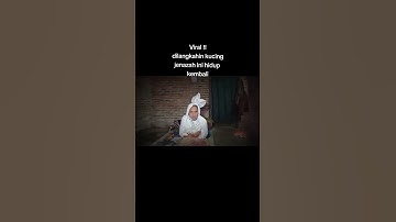 MAYAT HIDUP LGI KARNA DI LANGKAHIN KUCING