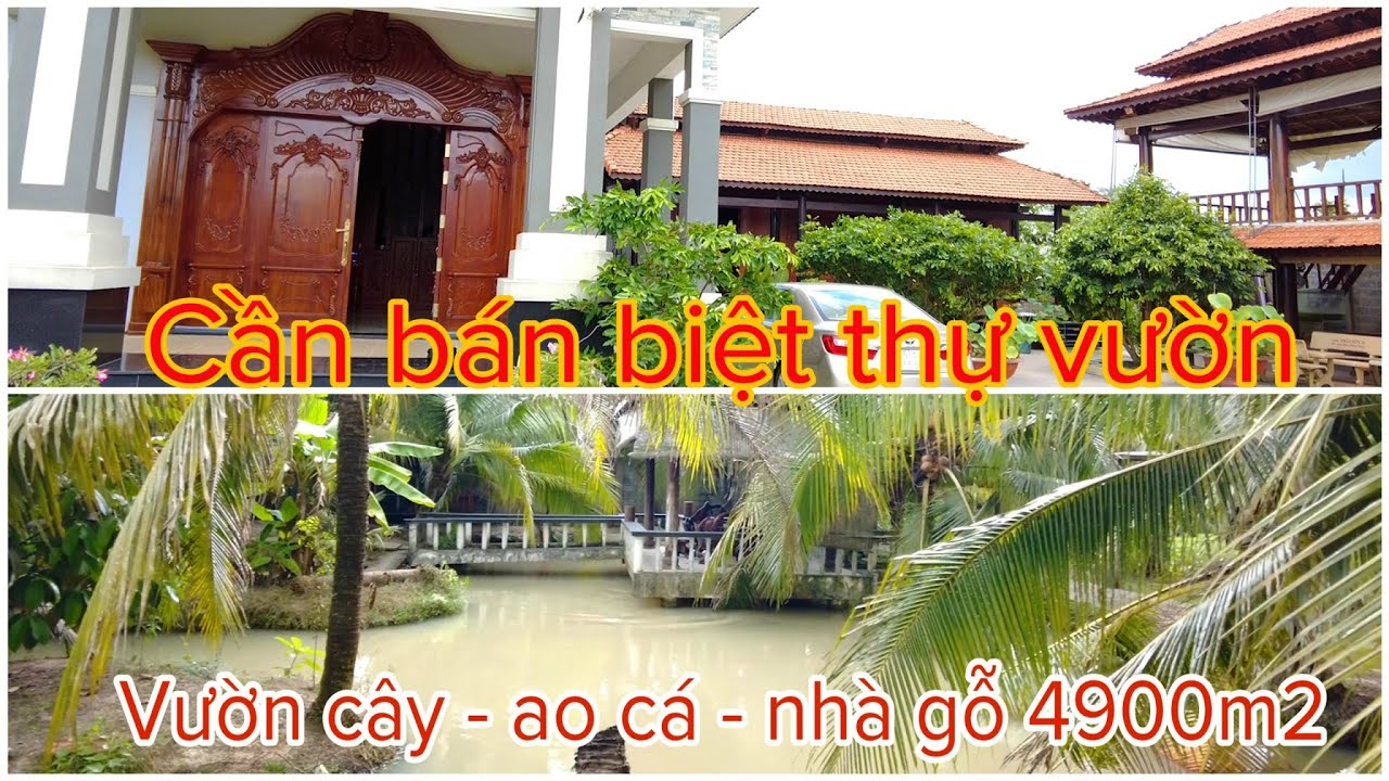 bán biệt thự vườn - cây ăn trái - ao cá - nhà gỗ... - youtube