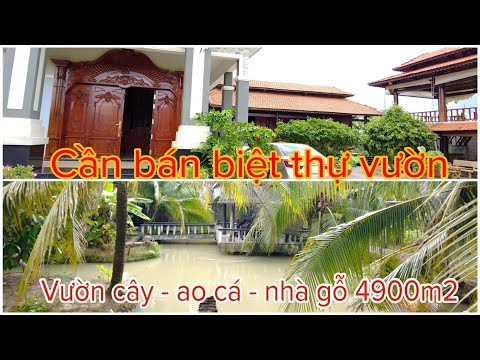 Video bán biệt thự vườn - cây ăn trái - ao cá - nhà gỗ... - youtube