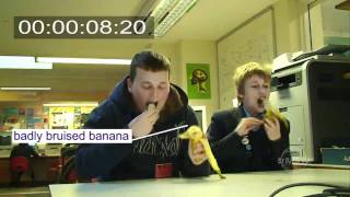 St Ives School February News - St Ives, Cornwall
