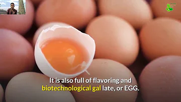 Co se týče nedostatku bílých krvinek?