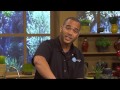 3ABN Today Cooking with Nyse Collins - "Take it To-Go (Cooking)" (TDY16073)