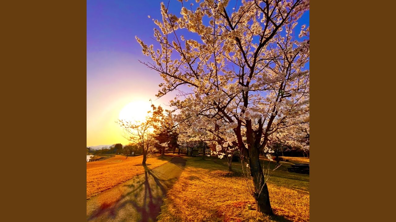 笑えるその日まで