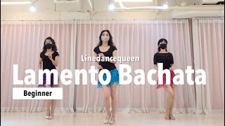 Lamento Bachata Line Dance l Beginner l 라멘토 바차타 라인댄스 l Linedance l 라인댄스퀸 l Lamento Boliviano
