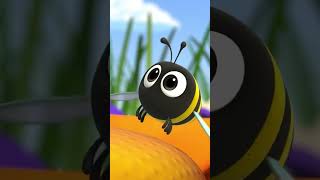 Blippi Meets A Real Bee! 🐝| Blippi & Blippi Wonders Educational Cartoons For Kids