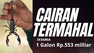 CAIRAN TERMAHAL DI DUNIA