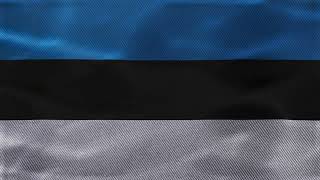 Estonia Flag Waving | 4K Ultra HD | 5 Minutes ( No Copyright )