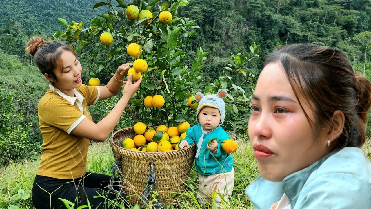 Full video 20 year old girl - building a farm, Harvesting fruits, cabbage, tomatoes, papaya for sale