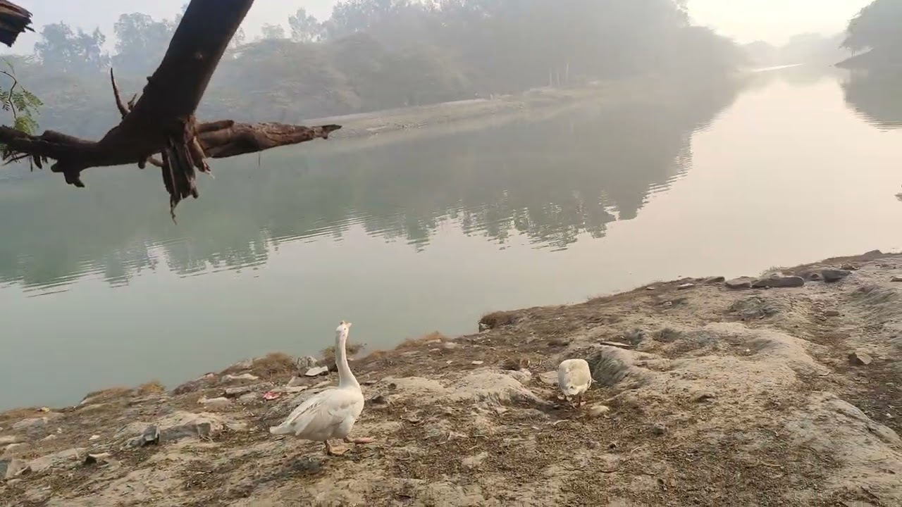 Delhi Ki Khoobsurat Jagah 😍 | Sanjay Jheel Mayur Vihar Vlog