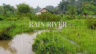 ? Relaxing Music, Drizzling Rain, Flowing River To Eliminate Stress and Insomnia