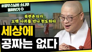 세상에 공짜는 없다 [초심으로 돌아가는 광우스님의 소나무 시즌3 몰아보기]