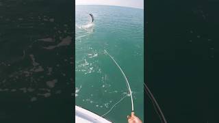 Catching my First Ever Tarpon