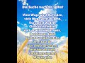 Die Suche nach dir selbst #viralshort #sprüche #gedicht #lyrik #shorts #leben #poesie #deutsch