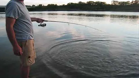 Reeling in a Sturgeon