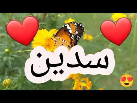 أغنية أسم سدين سدين سدين سدين   اغنية اسمك بأغنية