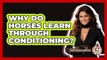 Why Do Horses Learn Through Conditioning? - The Horses Stable